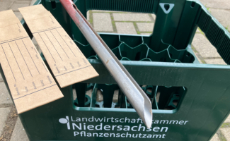 Vermehrung 2026 jetzt vorbereiten