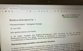Blattläuse im Blick - Virusübertragung vermeiden